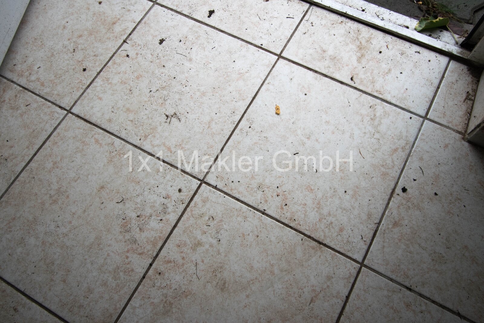 Doppelhaushälfte mit 1.268 m² Grundstück