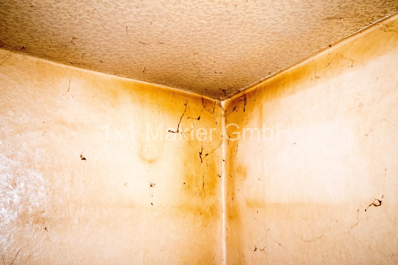 Doppelhaushälfte mit 1.268 m² Grundstück