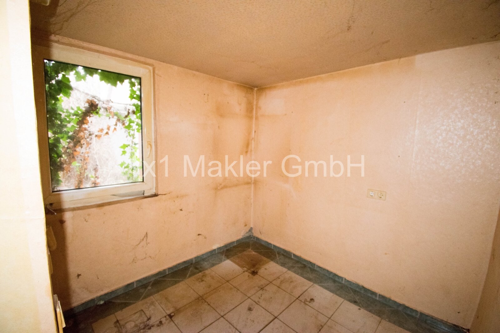 Doppelhaushälfte mit 1.268 m² Grundstück