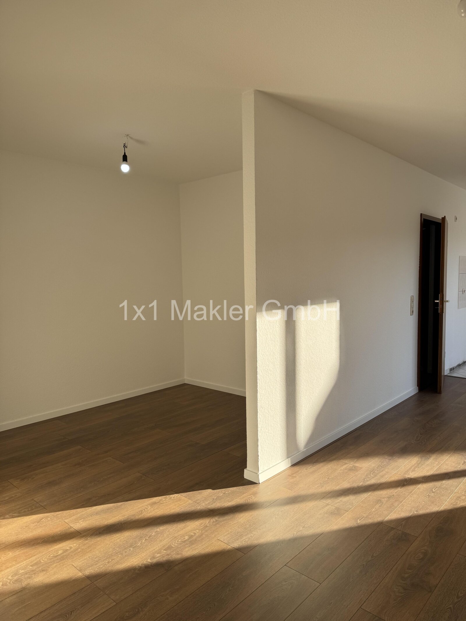 Blick zum halben Zimmer und Flur