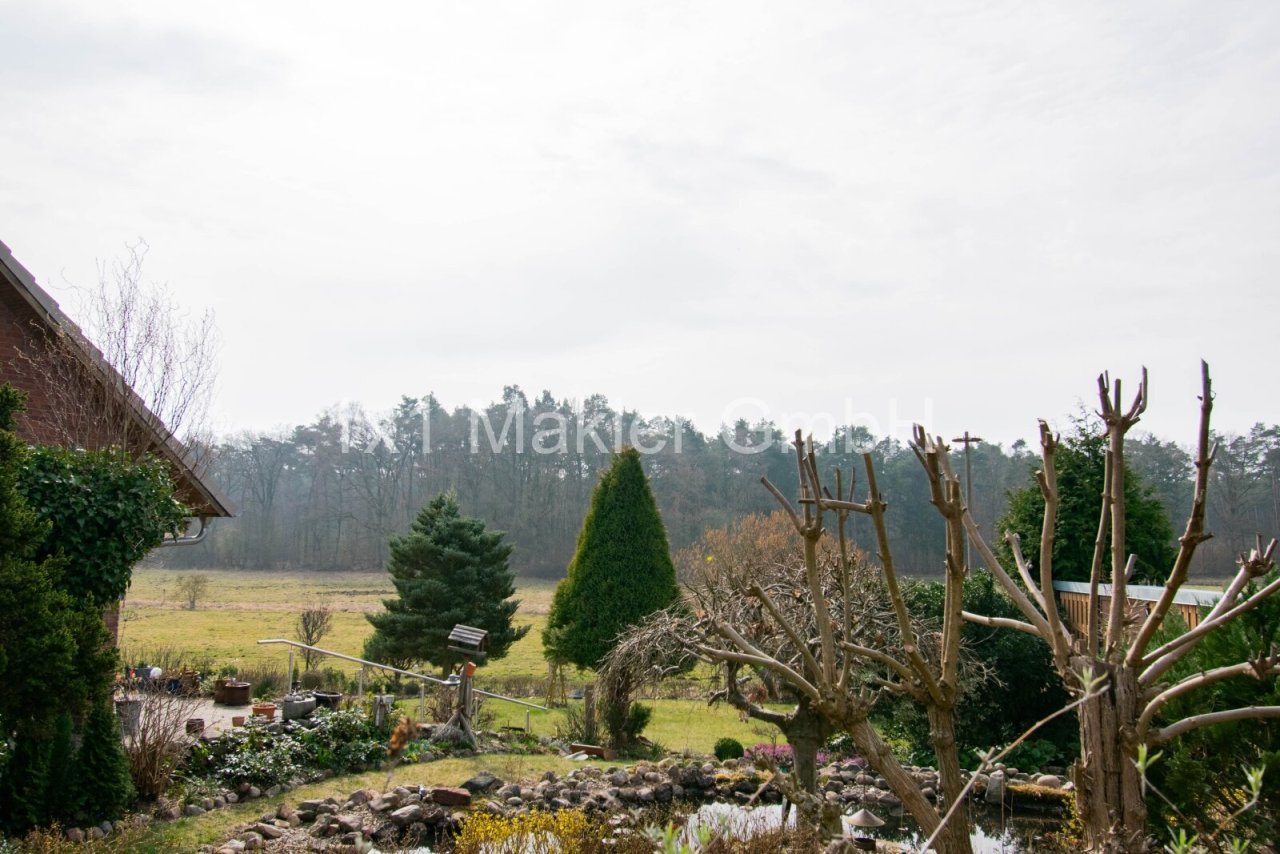 Ausblick in die Ferne Ausblick in die Ferne