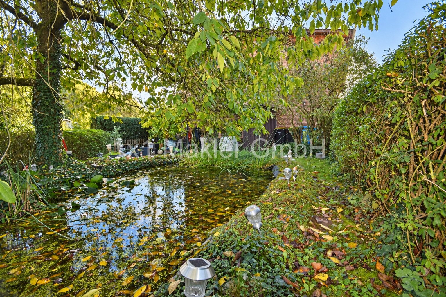 Angelegter Teich Angelegter Teich